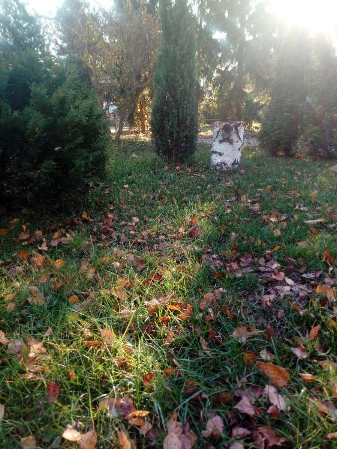 Farm stay Roztoczanski Dworek
